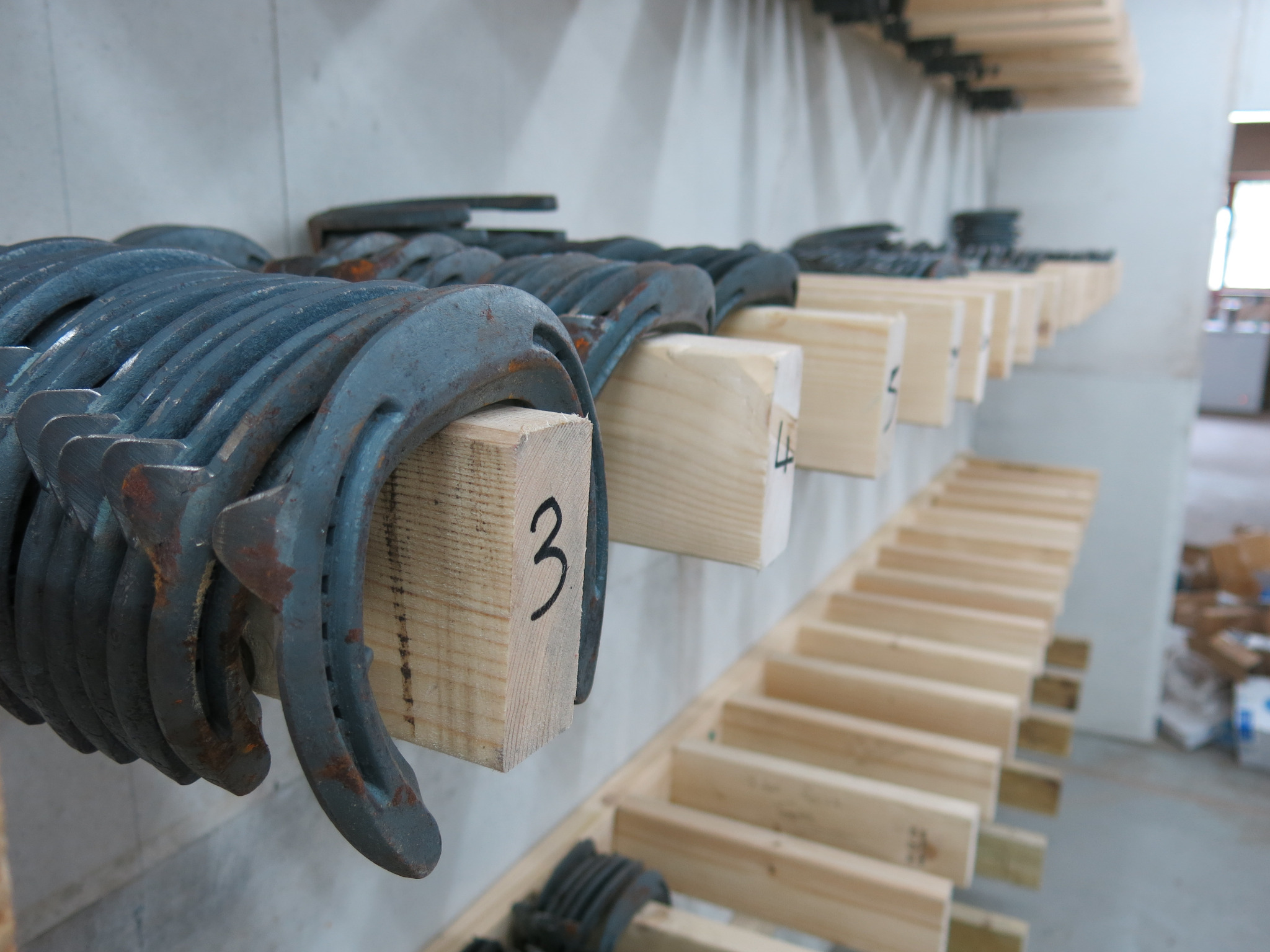 Horse shoes ready